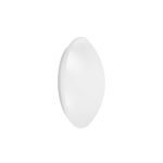 Ledvance Surface circulaire 250 13W 830 920lm Blanc IP44